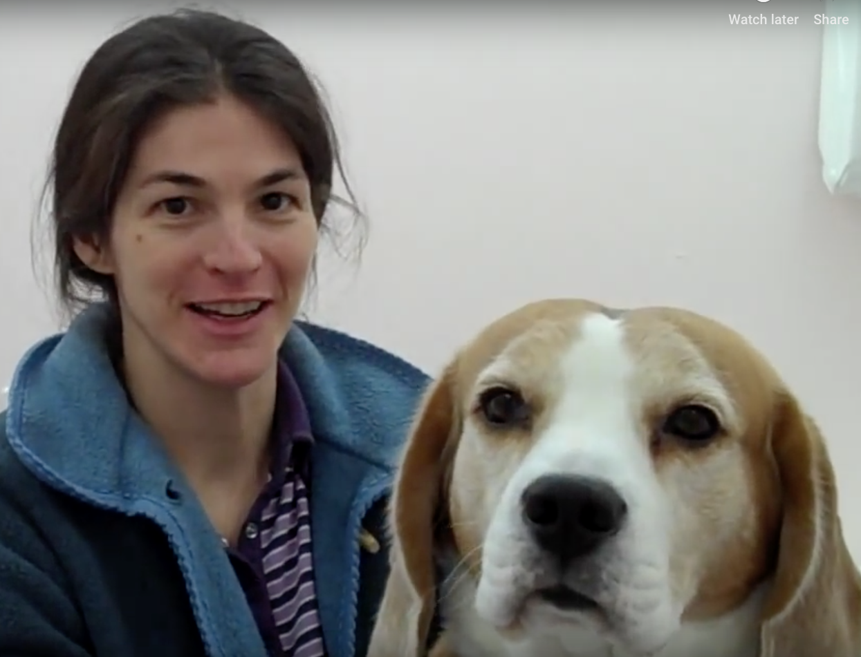 Smeagle, Vétérinaire Versoix, Veterinaire Versoix, Versoix Veterinaire, Versoix Vétérinaire, cabinet vétérinaire versoix, cabinet veterinaire versoix, clinique vétérinaire versoix, vétérinaire de Garde Versoix,veterinaire de Garde Versoix, Cabinet Vétérinaire International