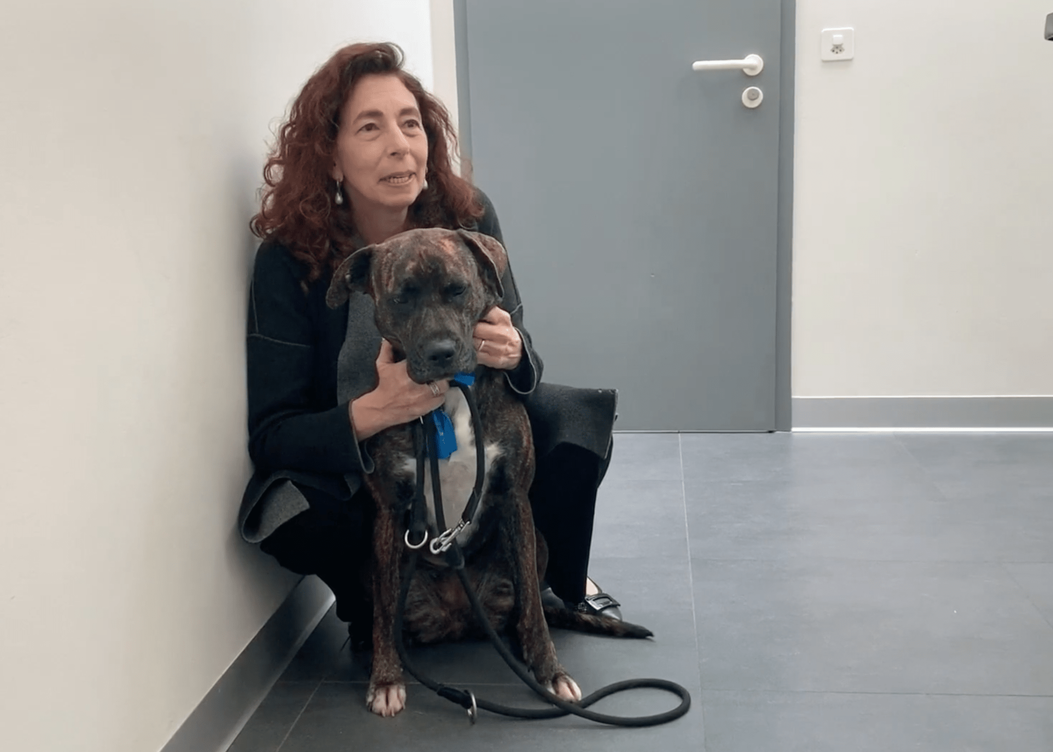 Maxy, Vétérinaire Versoix, Veterinaire Versoix, Versoix Veterinaire, Versoix Vétérinaire, cabinet vétérinaire versoix, cabinet veterinaire versoix, clinique vétérinaire versoix, vétérinaire de Garde Versoix,veterinaire de Garde Versoix, Cabinet Vétérinaire International